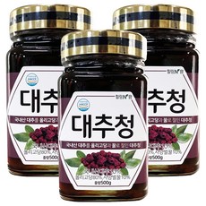 힐링앤팜 대추청, 500g, 1개입, 3개