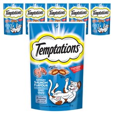 템테이션 고양이 담백한 스낵, 연어맛, 75g, 6개