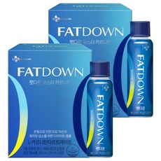 CJ Fat Down Carnitine運動補給飲, 300ml, 2盒