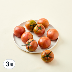 올푸릇 무농약 인증 대저짭짤이 토마토, 500g, 3개
