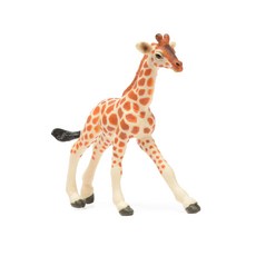 Safari Ltd 268529 嬰兒網紋長頸鹿圖, 1個