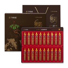 GC녹십자웰빙 진기력 산삼배양근 + 쇼핑백, 20개, 20ml