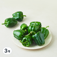 청피망, 1kg, 3개, 1개입