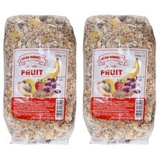 MEGA HARVEST 德國天然什錦水果穀片 500g, 2包