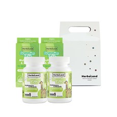 허벌랜드 키즈 멀티비타민 미네랄 구미 젤리 선물세트, 132g, 2개