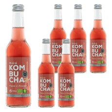 康普茶 水蜜桃接骨木莓口味, 330ml, 6個