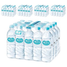 백산수, 500ml, 100개