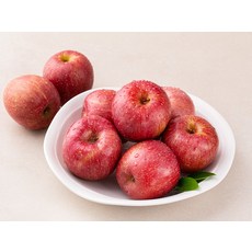 곰곰 GAP 청도 비슬산 사과, 2.5kg, 1박스