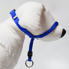 I&L狗狗溫柔牽引繩組 M, 藍色, 1套