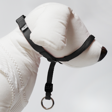 I&L狗狗溫柔牽引繩組 M, 黑色的, 1套