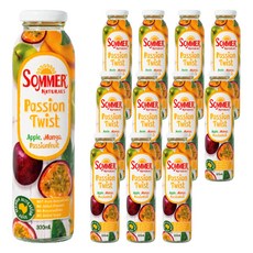 Somer Naturals Fashion Twist 混合果汁, 300ml, 12瓶