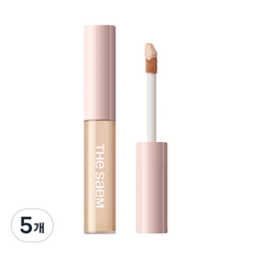 더샘 커버 퍼펙션 픽실러 6.5g, 1.5 내추럴베이지, 5개