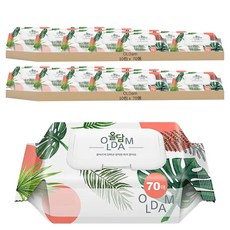 OLDam Monstera 嬰兒用濕紙巾 掀蓋式 熱帶雨林款, 70張, 20包