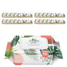 OLDam Monstera 嬰兒用濕紙巾 掀蓋式 熱帶雨林款, 70張, 40包