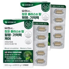 유한메디카 징코 플러스 엔 탑 혈행 기억력 케어, 60정, 30g, 2개