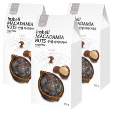 豐富的棕櫚堅果至尊帶殼澳洲堅果, 250g, 3個