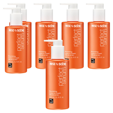 미쟝센 퍼펙트 세럼 베이스업 에센스, 200ml, 6개