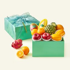 온브릭스 과일 8종 선물세트 사파이어 2호 4.94kg 고급보자기 포함, 1세트