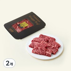 엘그로 호주산 와규 살치살 MBS8+ 구이용 (냉장), 200g, 2개