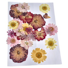 A-ONE 匯旺 真花壓花 中花包 Set 2個, 五顏六色 BB13