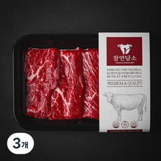 참연담소 국내산 소고기 치마살 2등급 구이용 (냉장), 3개, 200g