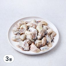 갯마을 남해안 가열조리용 봉지굴 (냉장), 380g, 3봉