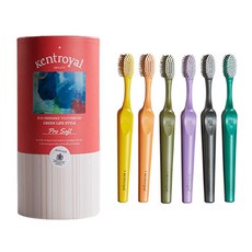 Kentroyal Pro軟毛牙刷, 1個, 12件
