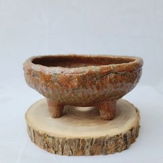 Wooser 橢圓手工多肉植物花盆, 隨機出貨, 1個