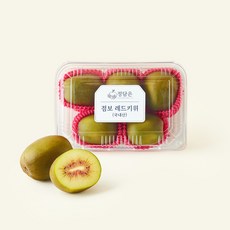 국내산 정담은 점보 레드키위, 1개, 550g