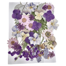 A-ONE 匯旺 真花壓花 大花包 - 2入 1個, 莫內紫園 CC01