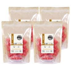 뉴트리오 대용량 애견용 치아에 좋은 껌, 소고기, 340g, 4개