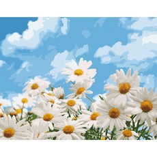 로디즌 명화 그리기 DIY 세트 40 x 50 cm, 데이지 들판, 1개