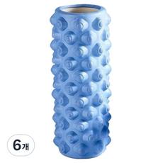 하태스몰 시원한 근육이 잘 풀리는 마사지롤러 33cm, 6개, 도트타입 블루