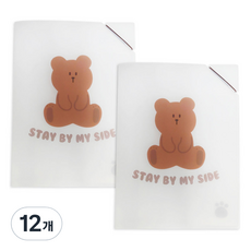 랑캣몰 코지베어 투포켓 파일, 혼합색상, 12개