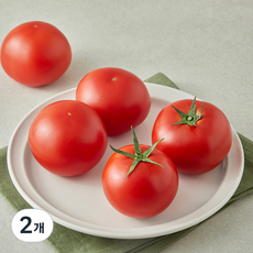 GAP 인증 레드칸 토마토, 2개, 1kg