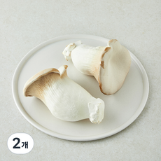친환경 설원버섯, 2개, 400g 2개, 400g