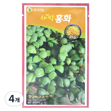 다농 새싹홍화 씨앗 25g, 4개