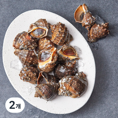 아라보감 산지직송 남해안 자연산 참소라, 1kg(소), 2개