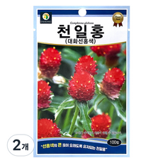 다농 천일홍 대화선홍색 씨앗 100립, 2개