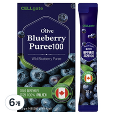 셀게이트 올라이브 야생 블루베리 퓨레 100%, 280g, 6개