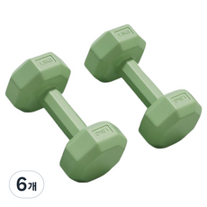 탑피아 여성용 아령 녹색, 6개, 1.5kg
