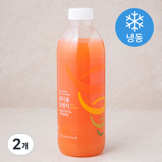 잠바주스 과채주스 뷰티풀 오렌지 for family (냉동), 710ml, 2개