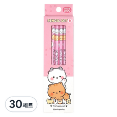 iiGEN 우옹이연필 4p 세트 B, 핑크, 30세트