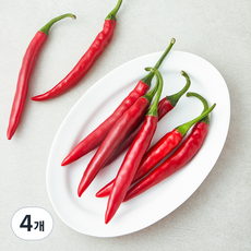 국내산 청양 홍고추, 100g, 4개