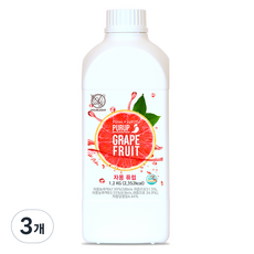 더블데이 자몽 퓨럽, 1.2kg, 3개