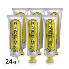 탐사 뉴 덴티프레스코 레몬민트향 구취케어 치약, 100g, 24개