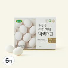 자연애찬 무항생제 인증 1등급 백색란 1.04kg, 6개, 20구