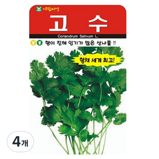 아람종묘 고수 씨앗 300립, 4개