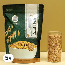 올고진 유산균 발효 귀리, 500g, 5개