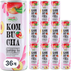 나원 스파클링 콤부차 복숭아 맛, 250ml, 36개